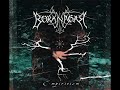 Borknagar - The Genuine Pulse