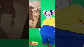 Dança Gordinha Barriga Dog