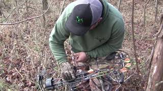 Jackie waynes 2017 Buck
