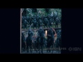 Dawn of the Planet of the Apes - "Intense" TV Spot