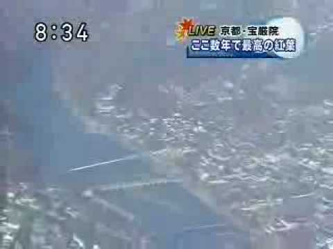 嵐山　宝厳院の紅葉今が見どころ 2008．11．29