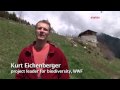 Protected wolves face fierce opponents in Switzerland