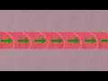 Accelerator on a Chip: How It Works