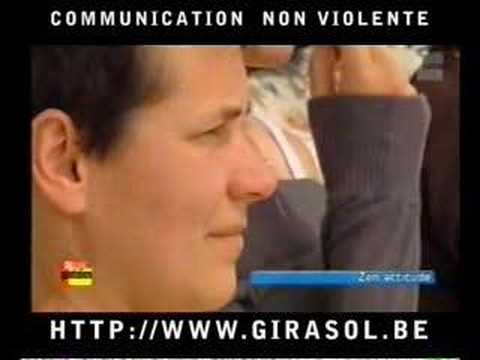 Girasol 26