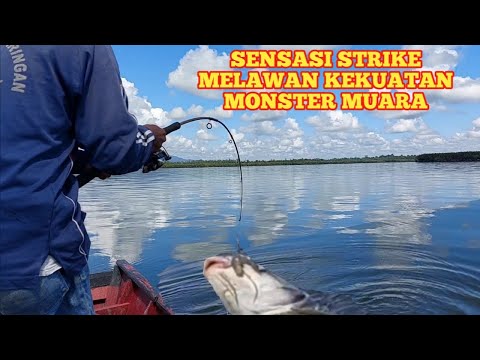 Beradu kekuatan menaklukan ikan monster penunggu muara Berau#mancingmaniaterbaru#Fishingadventur.