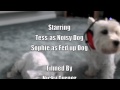Watch Ear Defenders Video