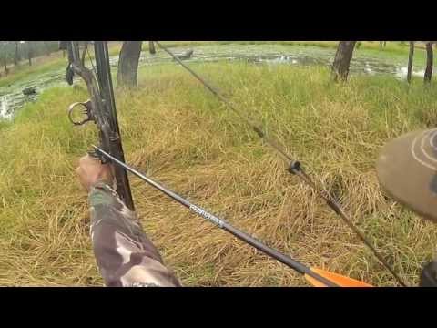 rifle hunting vs archery hunting essay rifle hunting vs archery hunting essay