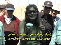 אשקלונים