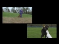 DOGS AT 2011 Protection Sports Association (PSA) Nationals (Awards - Part 1)