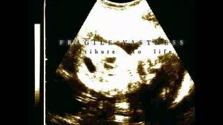 Watch Fragile Vastness From East To West video