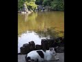 すきま風/杉 良太郎