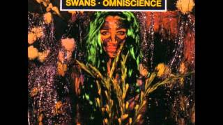 Watch Swans Amnesia video