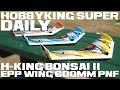 H-King Bonsai II EPP Wing 600mm (24") PNF - HobbyKing Super Daily