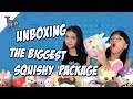 download lagu The Baldys - UNBOXING THE BIGGEST SQUISHY PACKAGE | Naura dan Neona mp3 download lagu The Baldys - UNBOXING THE BIGGEST SQUISHY PACKAGE | Naura dan Neona mp3