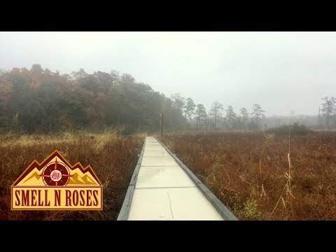 Floating Boardwalk Marsh Trail at Dodd Park, Chesterfield, Virginia