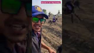 Horse Riding In Fields On Marwari Horses Of Vk Riding Club And Stud Farm