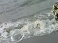 Pantai Gokil Abis images Pantai Gokil Abis