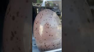5 gode lifehacks som virker XD