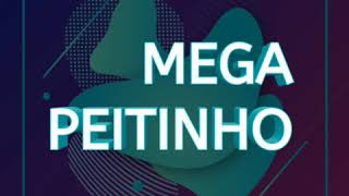 Mega Peitinho - Dj Ana C