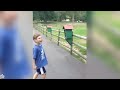 Try Not To Laugh Watching Funny Animals Compilation | Funniest Animals Vines 2019