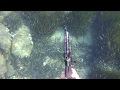 Pesca sub: grongo, tordo, triglia