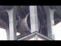 CH, BE,Spiez Evang. Mathäuskirche Plenum