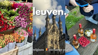 A Day In The Student City, Best Waffles In Belgium? Leuven, Belgium Vlogs Pt 3