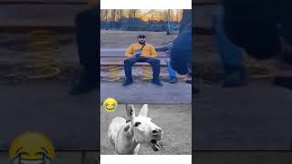 Komik Tiktok Videoları Part3