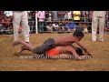 Mud wrestling Kushti : Dangal session in India