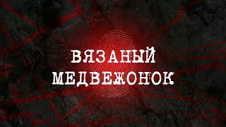 Вязаный Медвежонок | Вещдок 2023. Преступления Прошлого