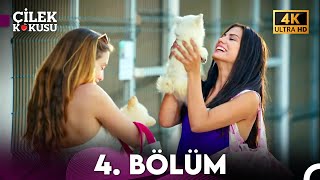 Çilek Kokusu 4. Bölüm 4K