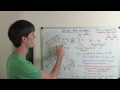 Inline 5 Cylinder Engine - Explained