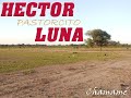 Pastorcito