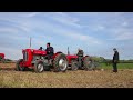 Field of Massey's. Friends of Ferguson Hertage 2012 Ploughing Match near Dumfries