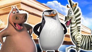 Madagascar - Coffin Dance Song Cover