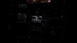 Araba Snapleri̇ Gece-Yan Koltuk