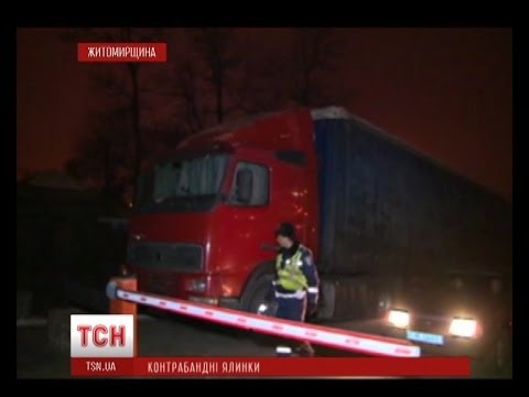 На Житомирщині затримали фуру, забиту браконьєрськими ялинками