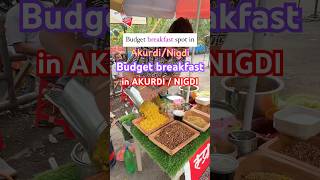 Budget Breakfast Spot Akurdi, Pcmc