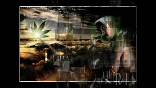 Watch Tupac Shakur Ghost video