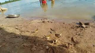 Banho De Ervas No Rio Xingu
