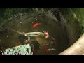 Backyard aquaponics: DIY system to farm fish with vegetables
