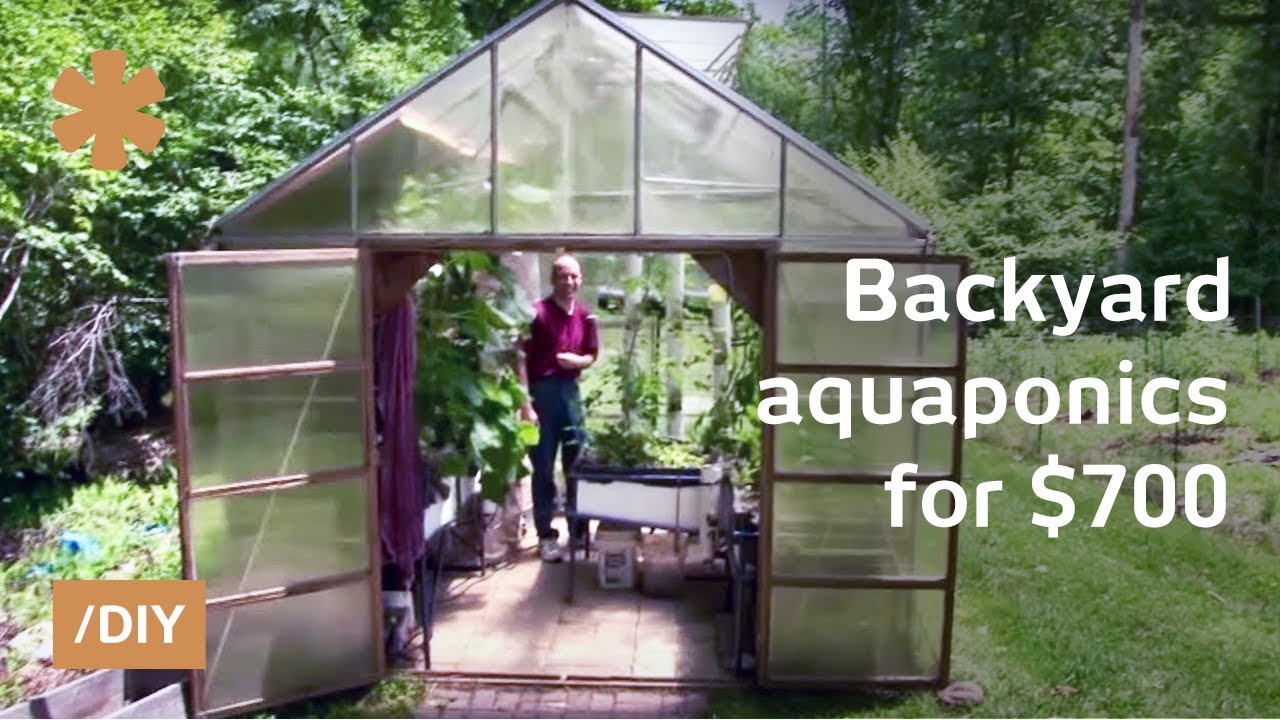 Backyard aquaponics: DIY system to farm fish with vegetables - YouTube