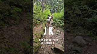 Hiking Hollyburn Peak Trail At Cypress Mountain