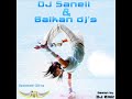 DJ SaNeLL Balkan DJs CD-Ceca - Igracka samoce ( DJ KaLa Remix)