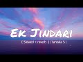 Ek Jindari [Slowed+ Reverb] | Taniska Sanghvi | Hindi Medium |