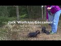 Jack Wolfskin Gossamer