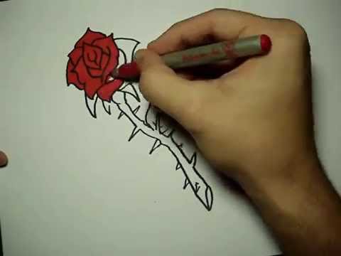 Rose Drawing Videos Learn by watching someone draw
