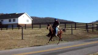 Watch Deacon Blue Rodeo Boy video