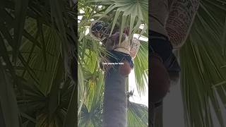 Taari Peene Ke Faiyde