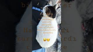 İyi Uçuşlar